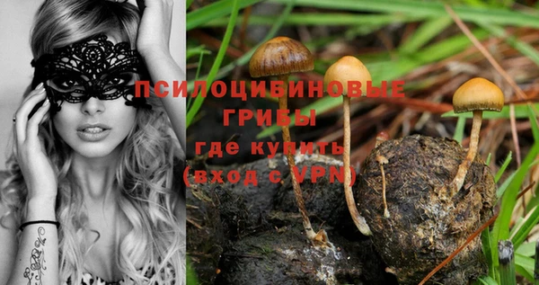 стафф Алексеевка