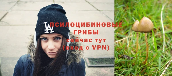 стафф Алексеевка