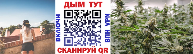 продажа наркотиков  Лахденпохья  Конопля гибрид 